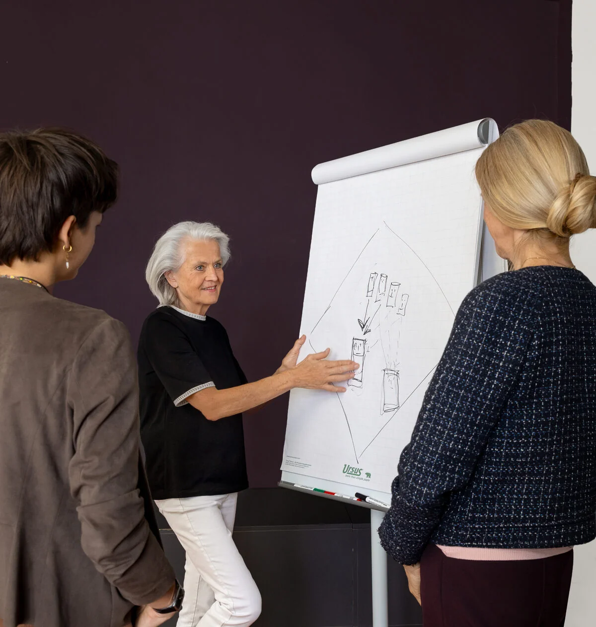 Elisabeth Bürgler erklärt zwei Klientinnen eine Aufstellung am Flipchart